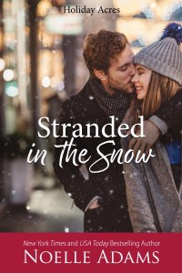 Stranded in the Snow2
