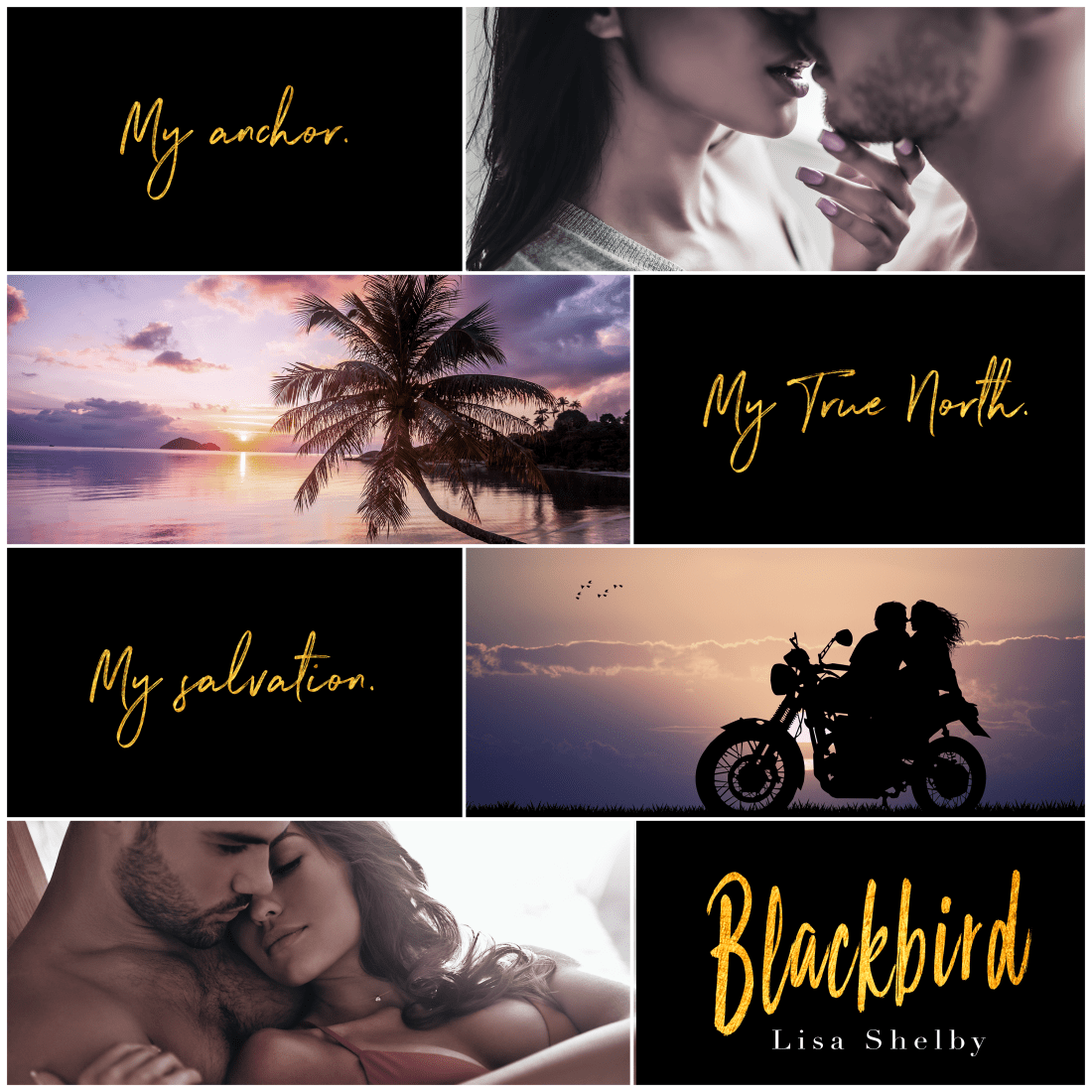 Blackbird-Collage