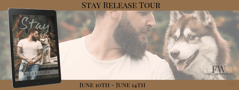 Stay Tour Banner