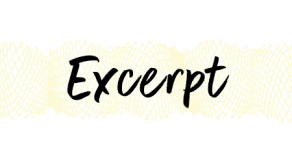 This image has an empty alt attribute; its file name is excerpt.png