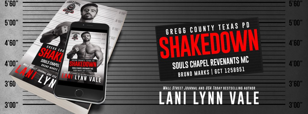 This image has an empty alt attribute; its file name is shakedown-banner-na.jpg